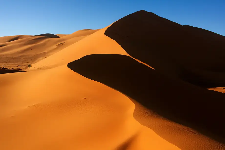 Dunas del desierto